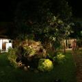 Villa 80