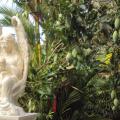 Angel Villa