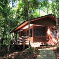 Permai Rainforest Resort