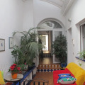 Image 12