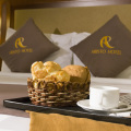 Aristo Saigon Hotel