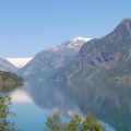 Image 31