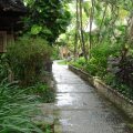 Hotel Puri Bambu