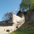 Image 15