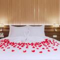 Seana Hotel Nha Trang