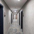 Image 15