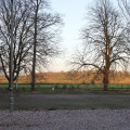 Image 36