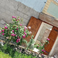 Image 20