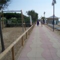 Image 13
