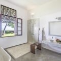 The Frangipani Tree By Edwards Collection
