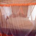 Little Pumpkin Cabanas