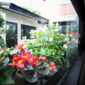 Image 37