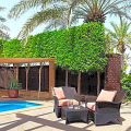 Anantara Desert Islands Resort & Spa