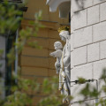 Image 19