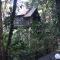 Permai Rainforest Resort