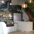 Image 11