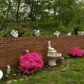 Image 31