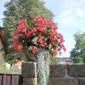Image 14