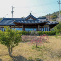 Image 19