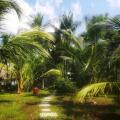 Coconut Island