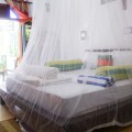 Frangipani Beach Villa