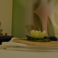 Image 13