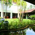 The Palms