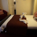 Image 21