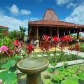 Ubud Heaven Penestanan