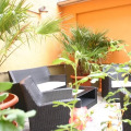 Image 15