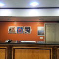 Image 15