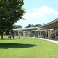 Image 31