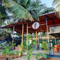 Treebo Trend Morjim Banyan Resort