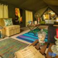 Mahoora Tented Safari Camp - Wilpattu