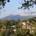 Alex Home Stay