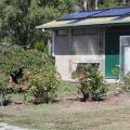 Image 15