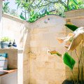 Lotus Bungalows