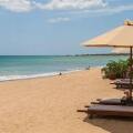 Jungle Beach Resort