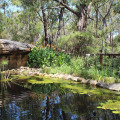 Image 38