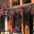 Image 22