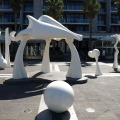 Image 31