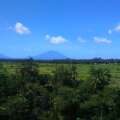 Seres Springs Resort & Spa Ubud