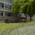 Image 18