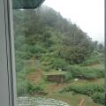 Ashley Resorts