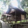 Bilit Rainforest Lodge