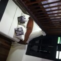 Noordin Street House
