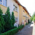 Image 15