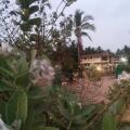 Ivon Guest House, Arambol Beach