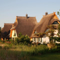 Image 13