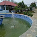 Image 22